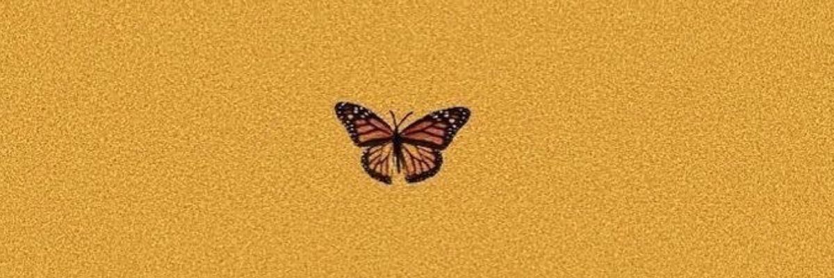 chelleiga's profile banner image