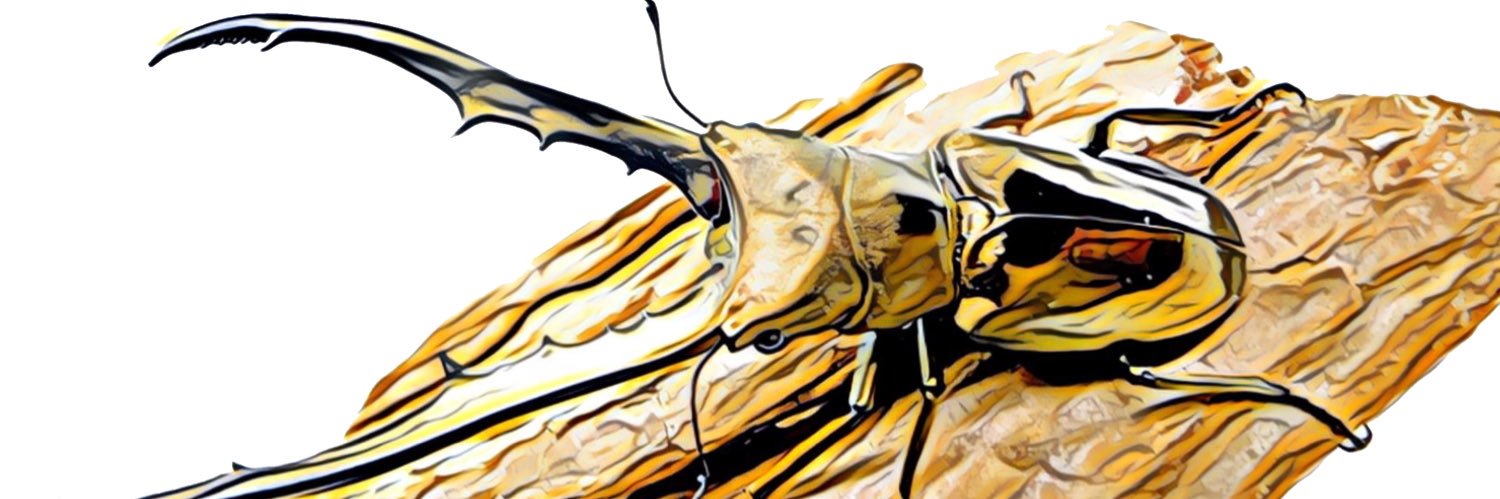 easy_poke's profile banner image