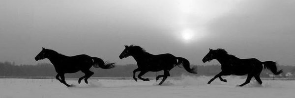 charmarche Profile Banner