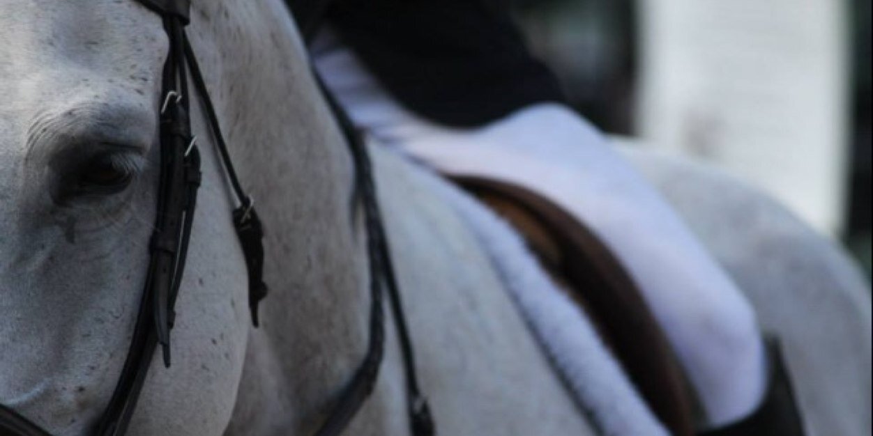 Paige Burton banner
