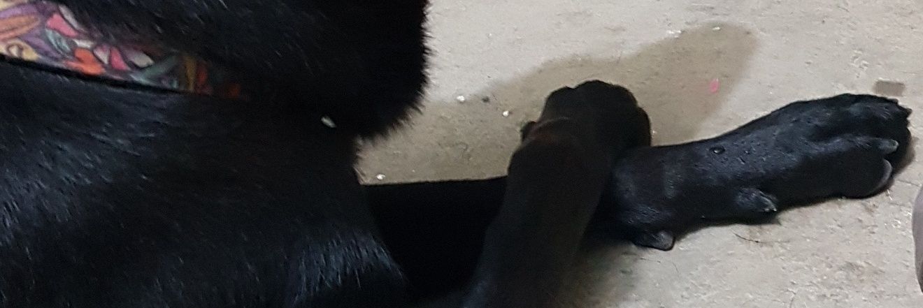 Meli2o's profile banner image