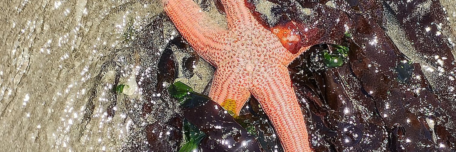 Hector Luengo banner