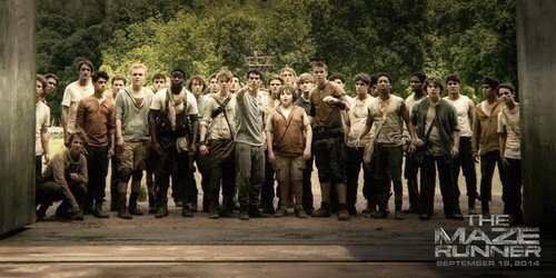 Newt_MV's profile banner image