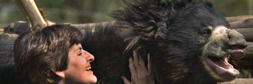 michaeljdawson's profile banner image