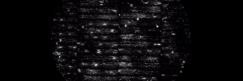 xaviercomasTW's profile banner image