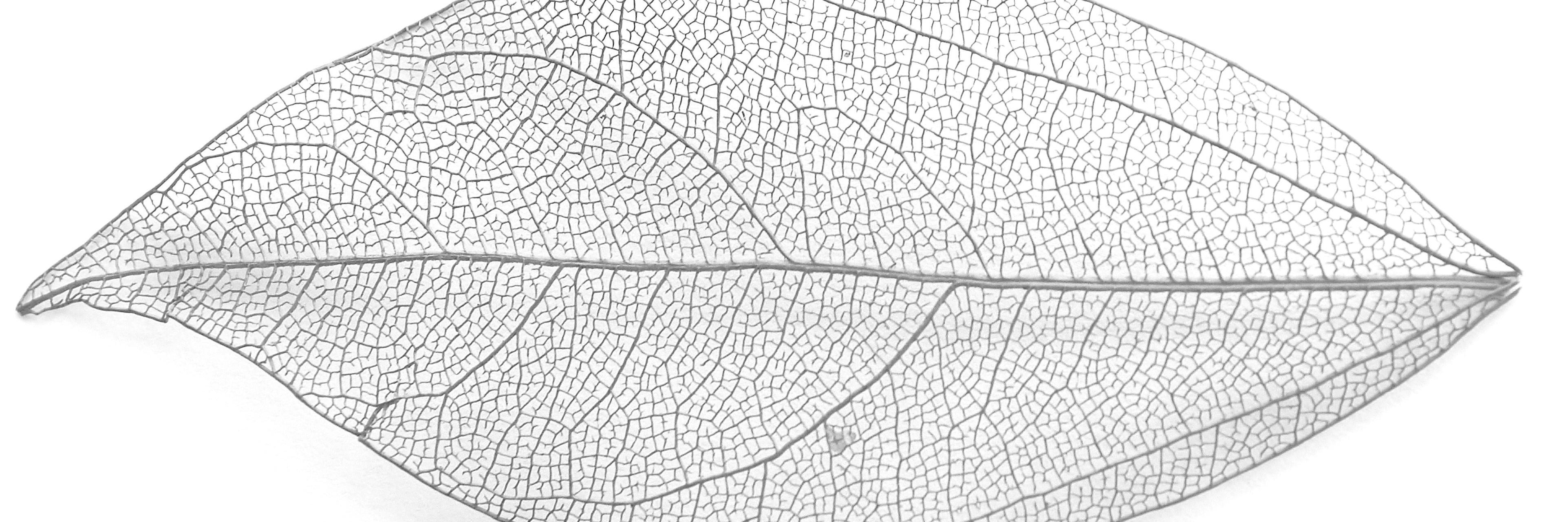 Vern_Field's profile banner image