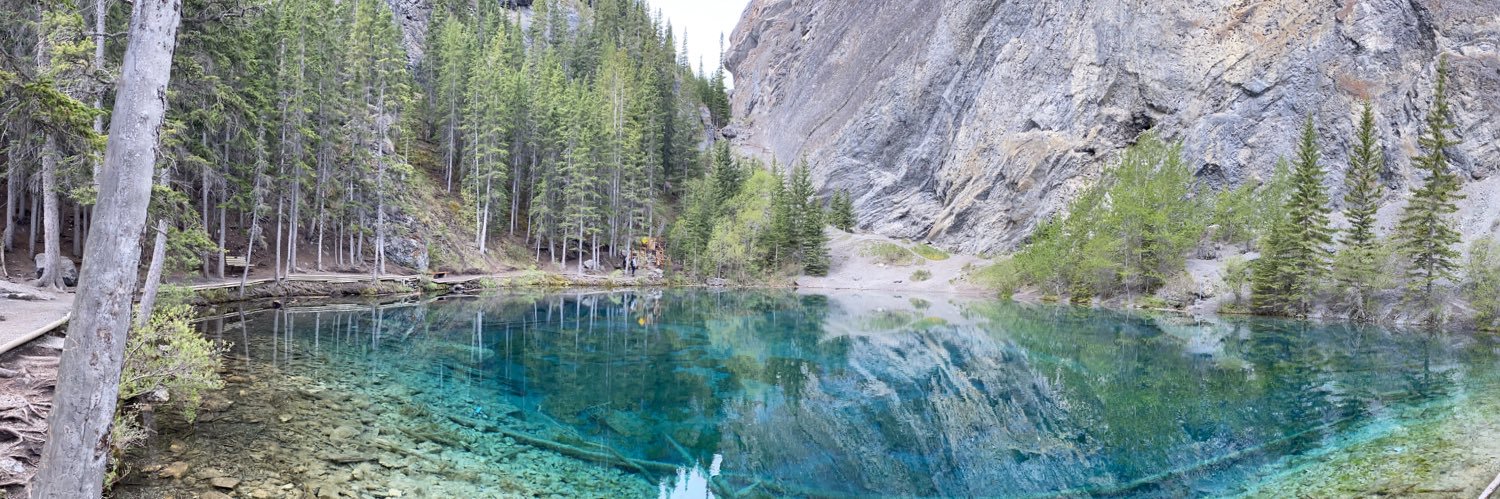 M.Rose writes banner