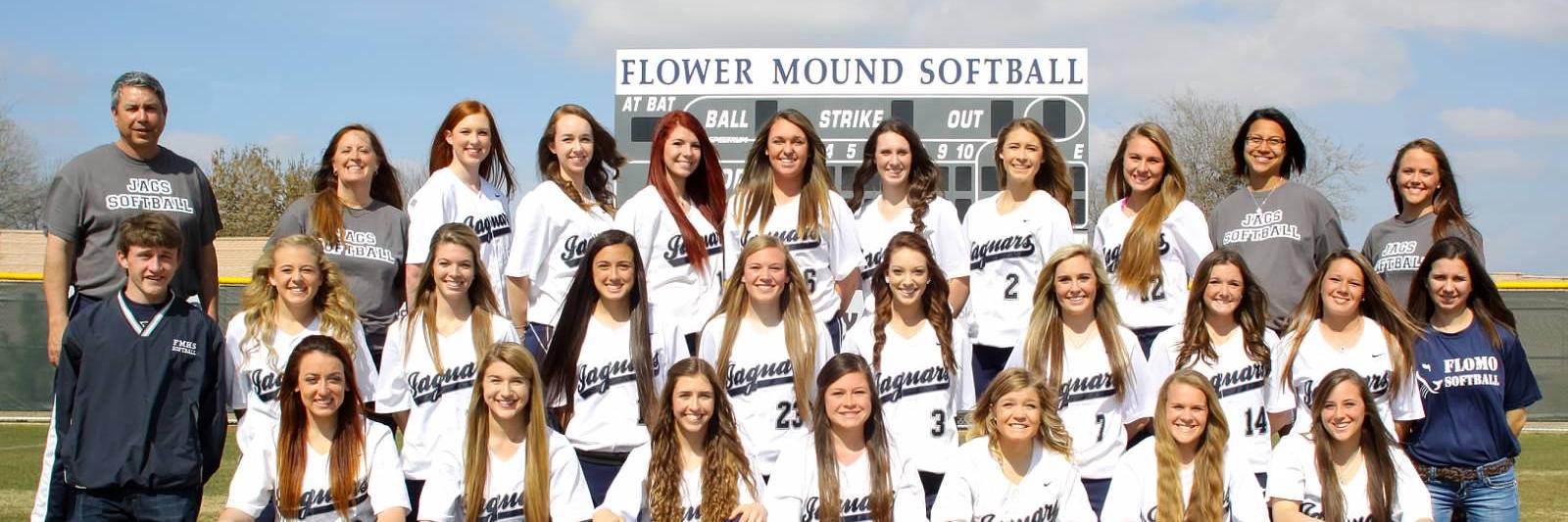 LadyJagSoftball's profile banner image