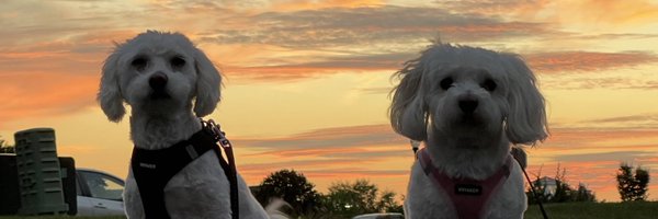 LizzyWurst Profile Banner