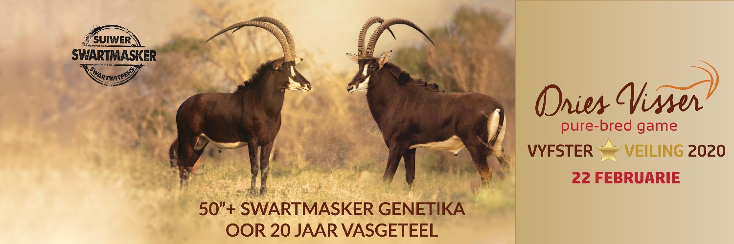 DriesVisserGame's profile banner image