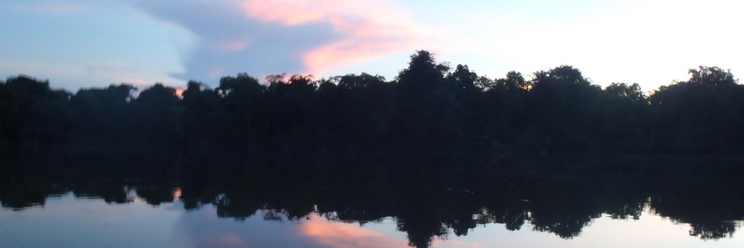 robertolcoimbra's profile banner image