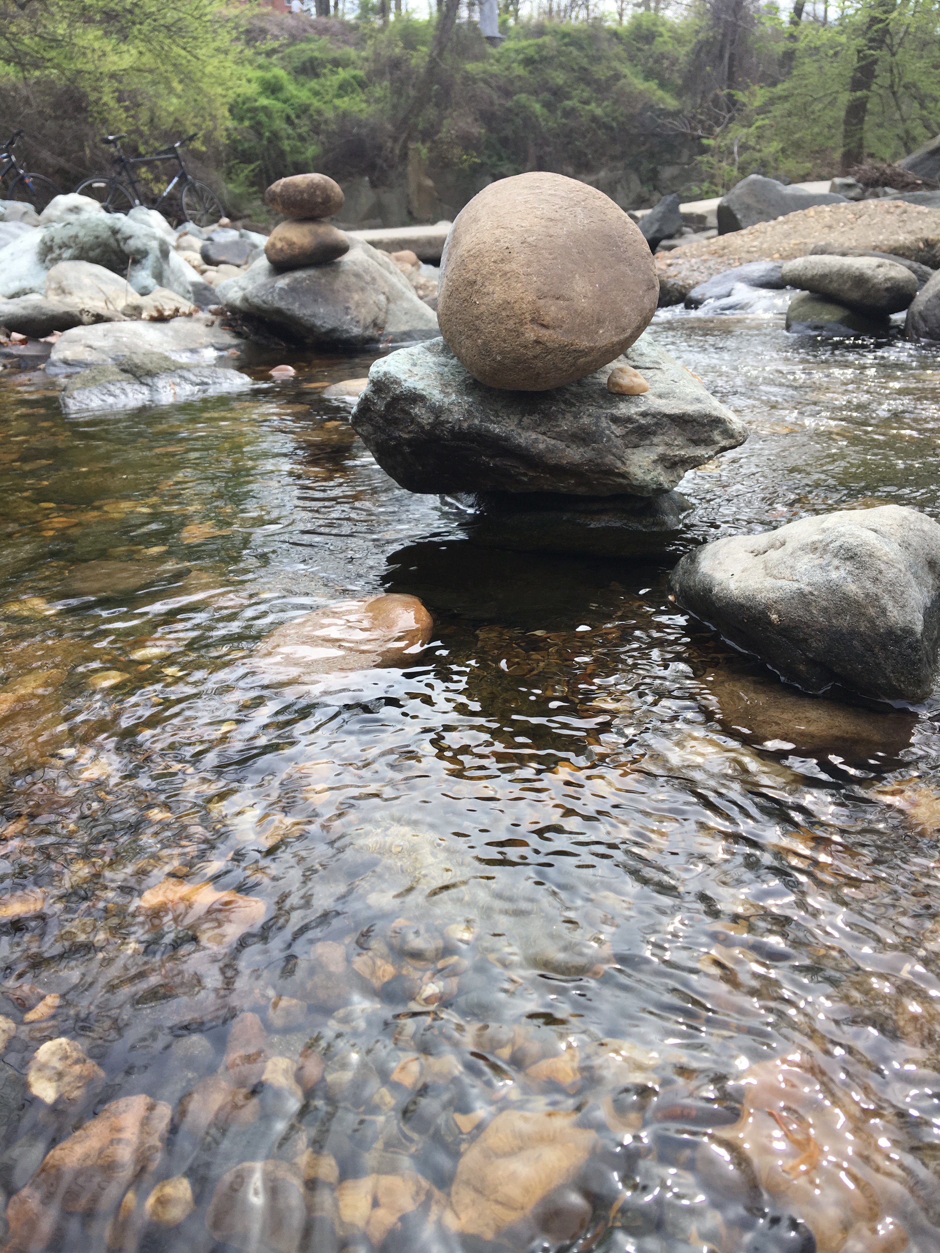 ShortTbyNature's profile banner image
