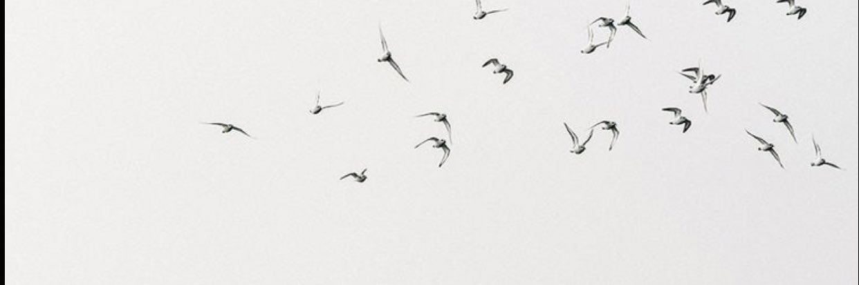 aaqp_11's profile banner image