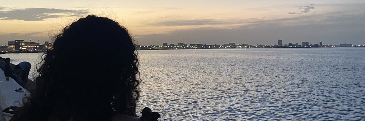 fervazquezp's profile banner image