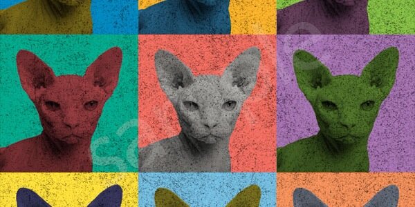 CatNaked's profile banner image