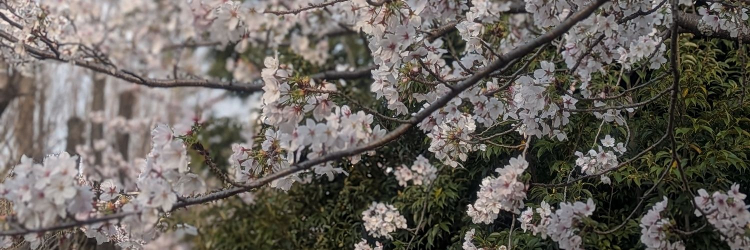 mgn0824's profile banner image