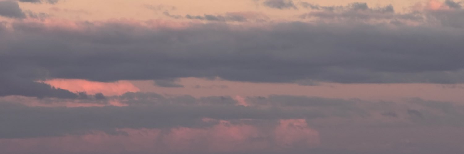 liz banner