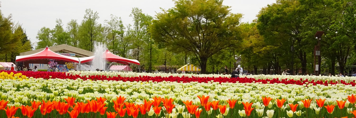 tulipfair's profile banner image