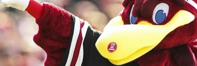 rayger11's profile banner image