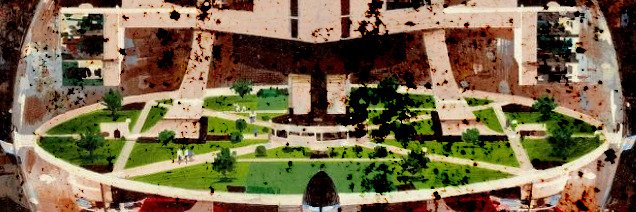 Natalie Wigg-Stevenson banner