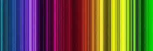POLISAPERTA's profile banner image