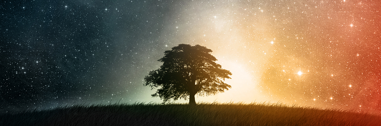 SurroundedAudio's profile banner image