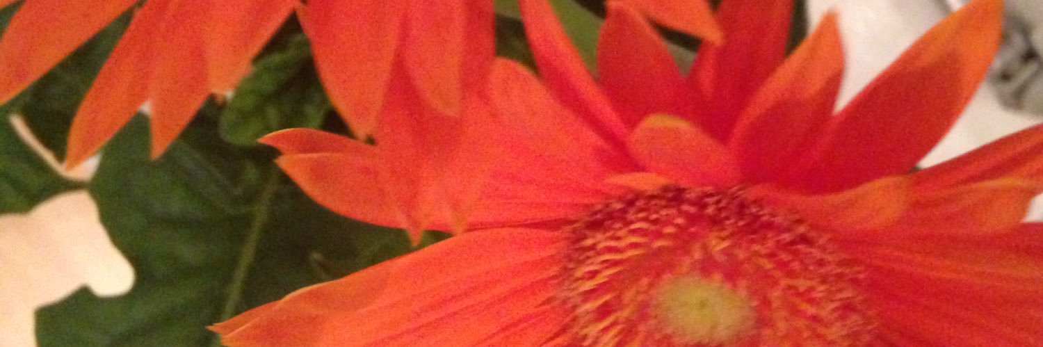 fluffyunic0rn_7's profile banner image