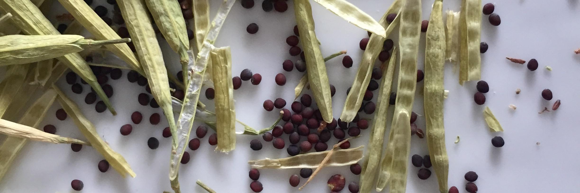 Gardeneats's profile banner image