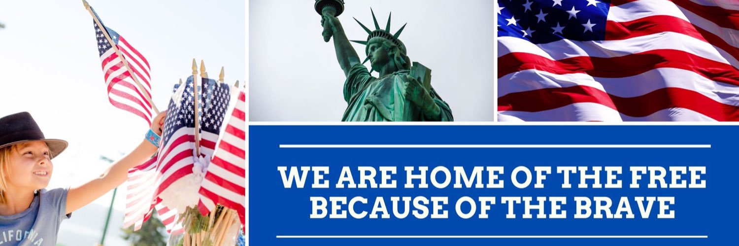 PatriotsSaveUSA's profile banner image