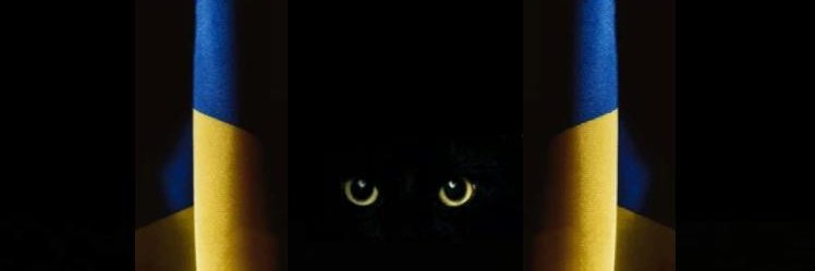 Trinityapp's profile banner image