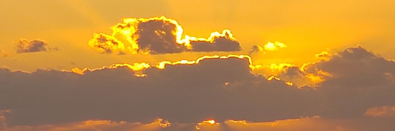 8herbe's profile banner image