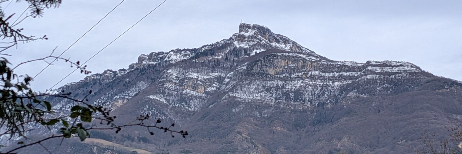 LeleWojtko's profile banner image