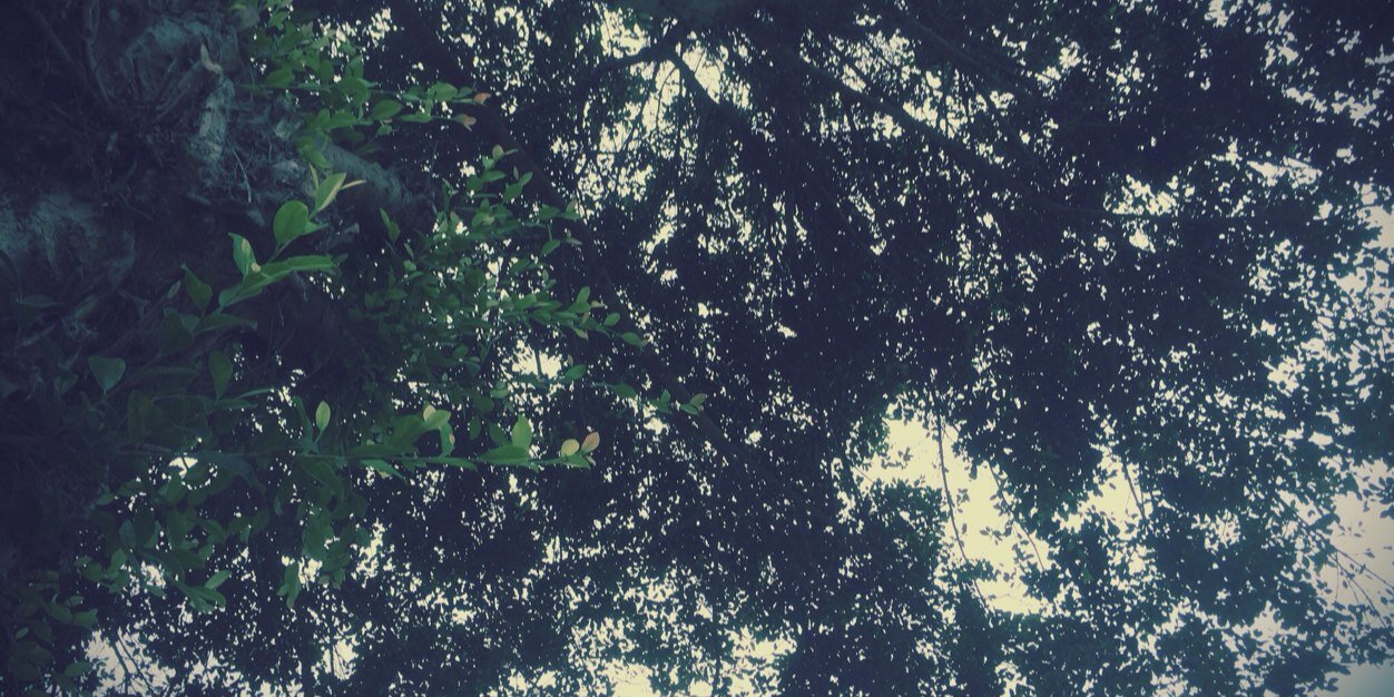 Chima_345's profile banner image