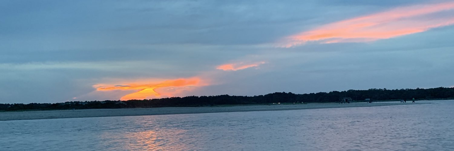 lizzievetsch's profile banner image