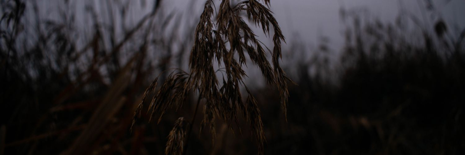 guilleee_07's profile banner image