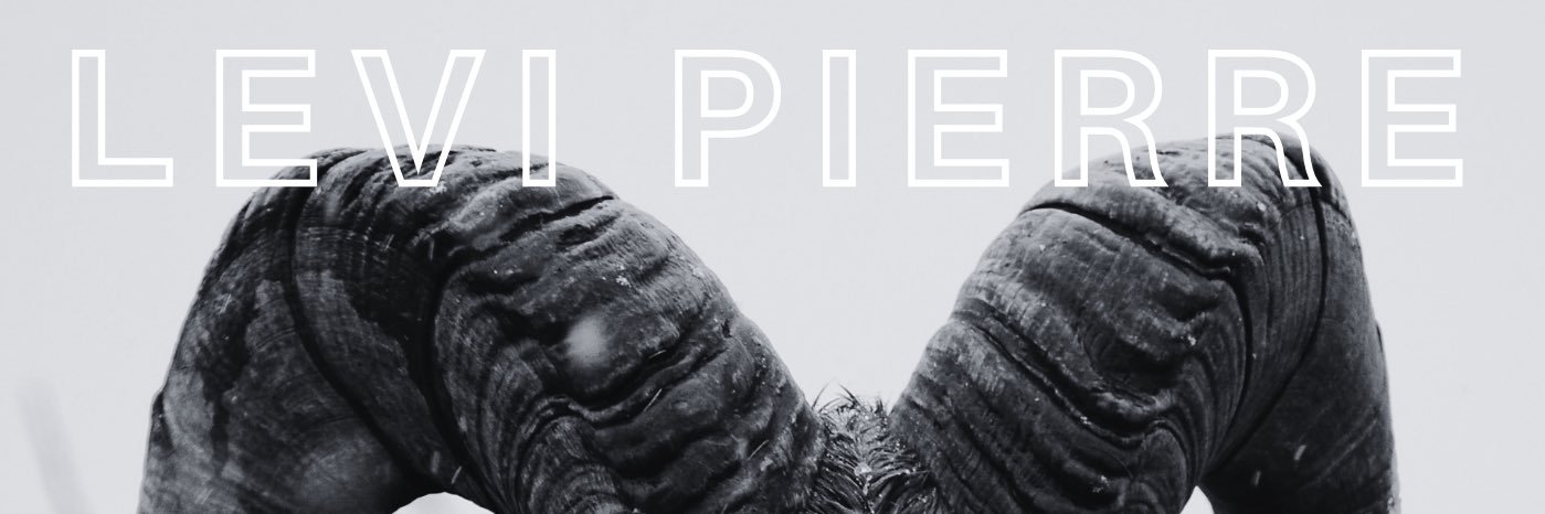Levi317P's profile banner image