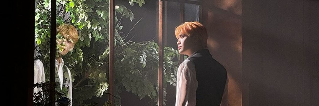 MULTORUMFELES's profile banner image