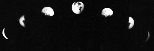_Larii_Styles's profile banner image