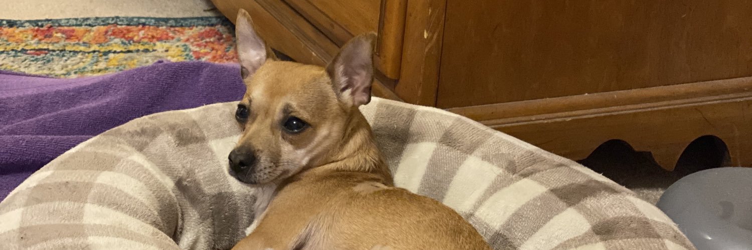 thackershelbs's profile banner image