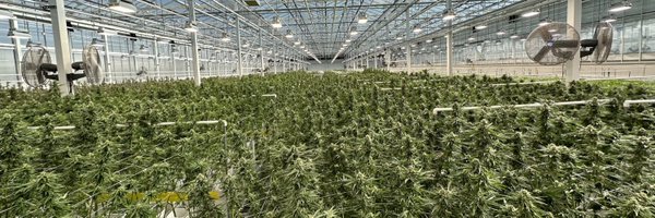 JaayKings Profile Banner