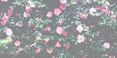 acelyabze's profile banner image