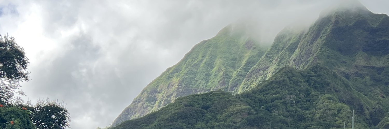 drmojays's profile banner image