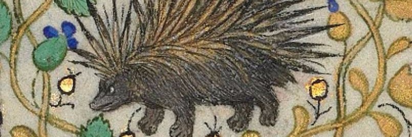 Kevin McPaggis banner