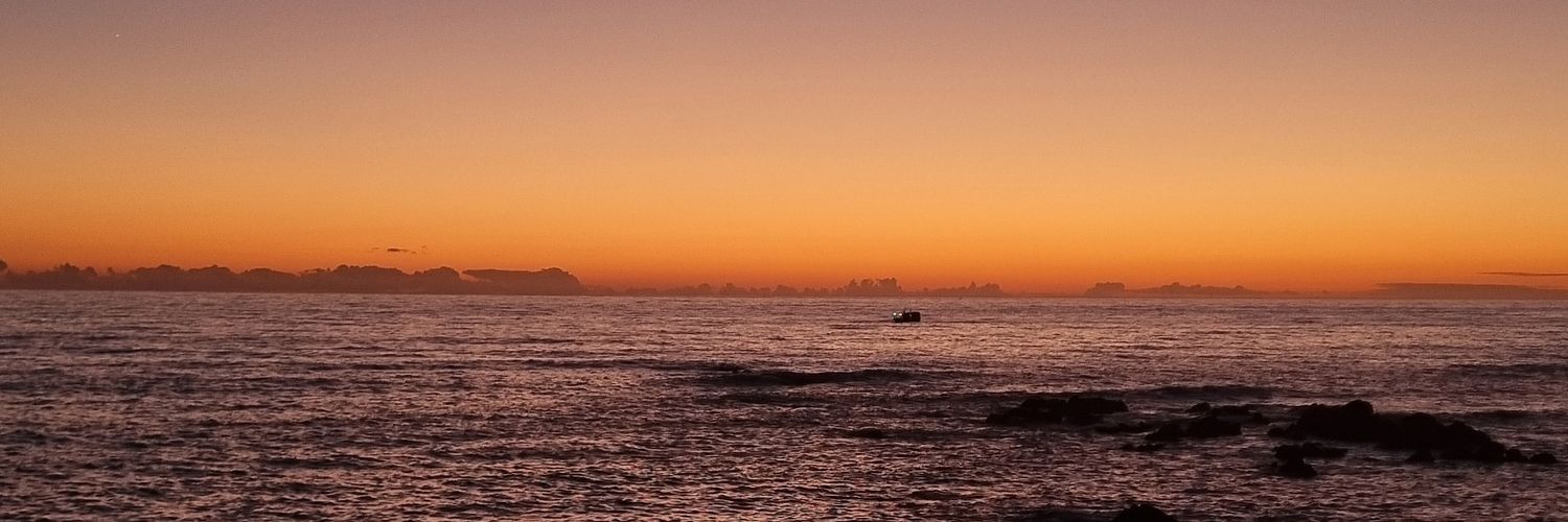 anaimguedes's profile banner image