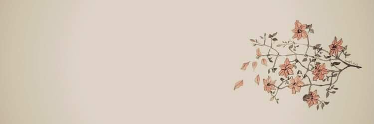 luvmyauss's profile banner image