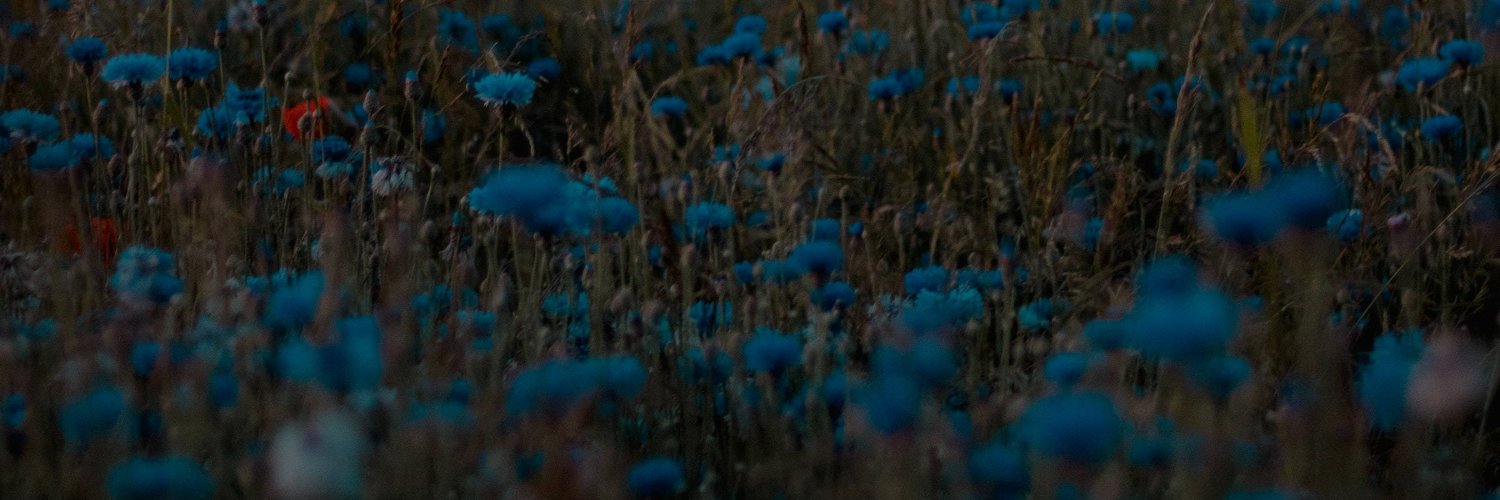 belladcna's profile banner image