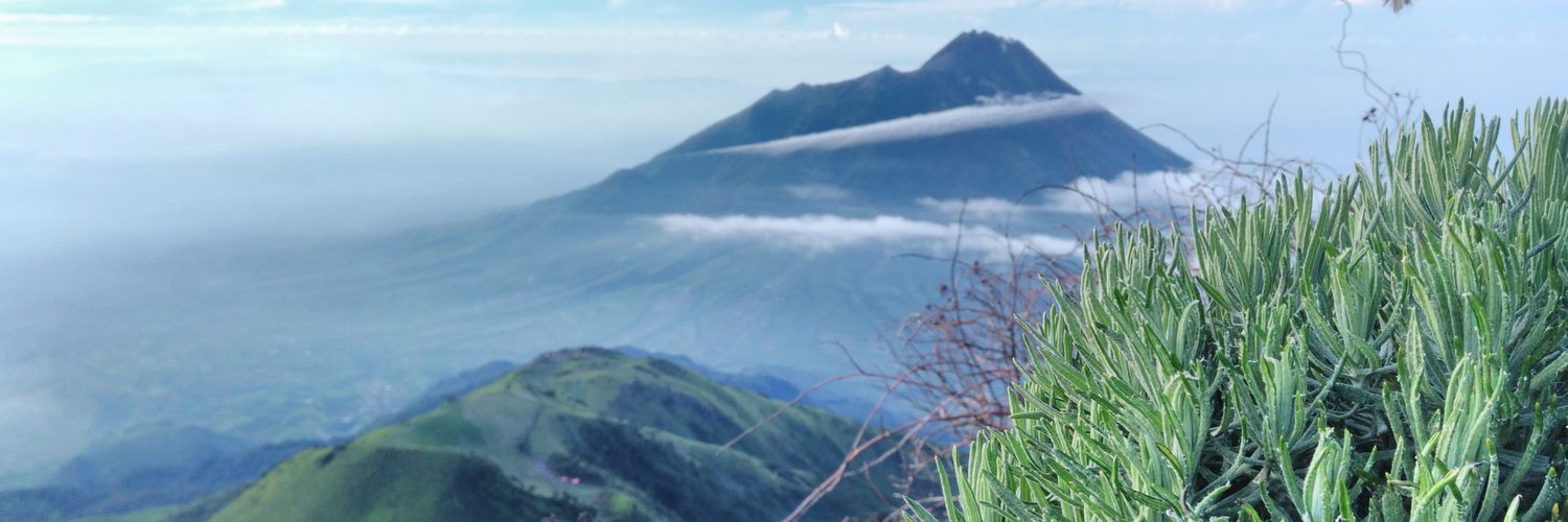 fidzsc's profile banner image