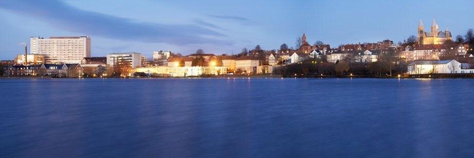 Henrik Hansen banner