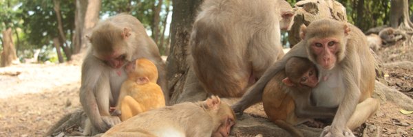 ljnbrent Profile Banner