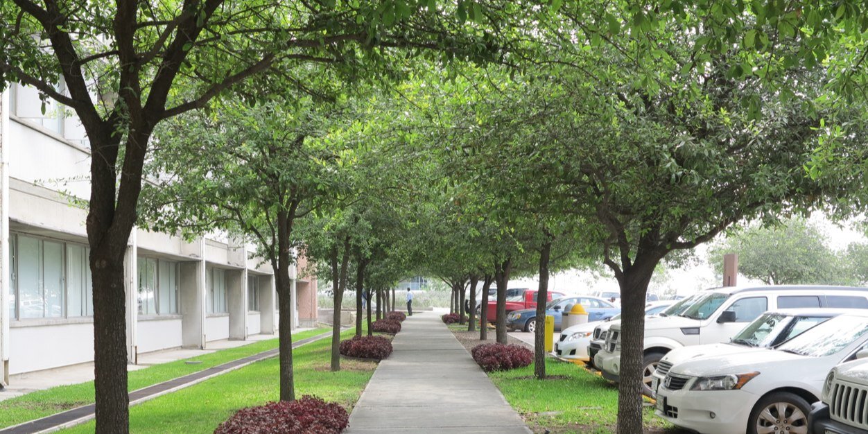 Jaime Chan  banner